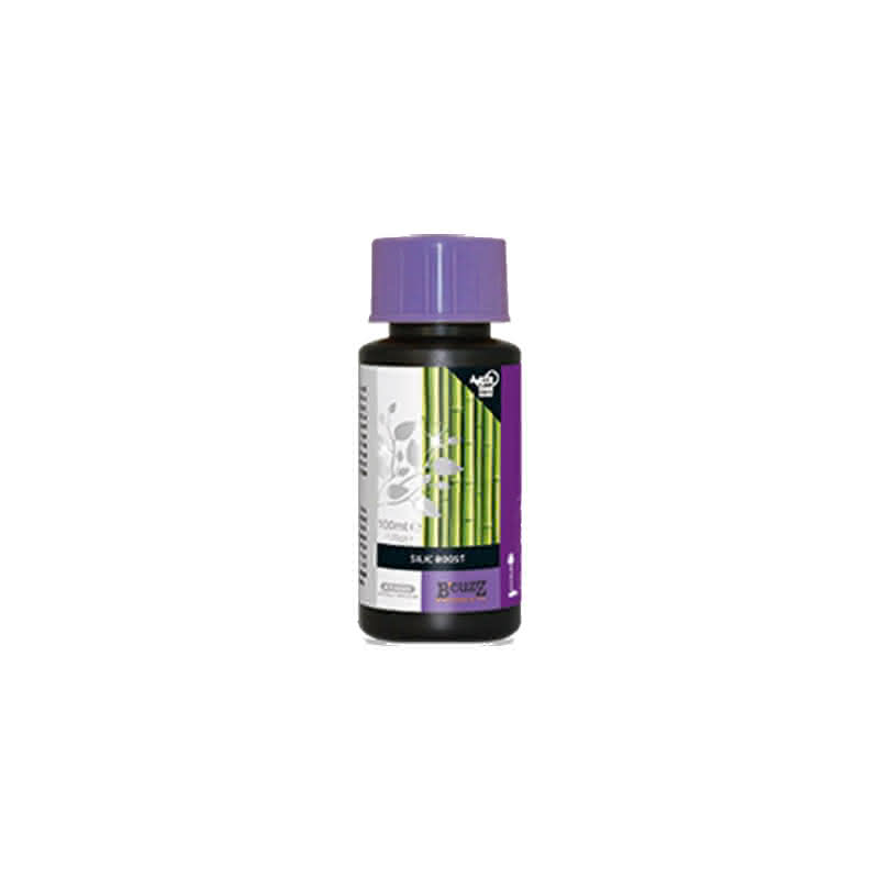 Atami B-CUZZ Silic Boost 100ml
